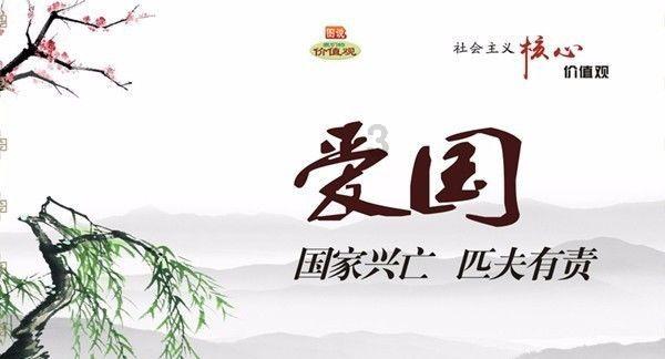 见缝插刀2